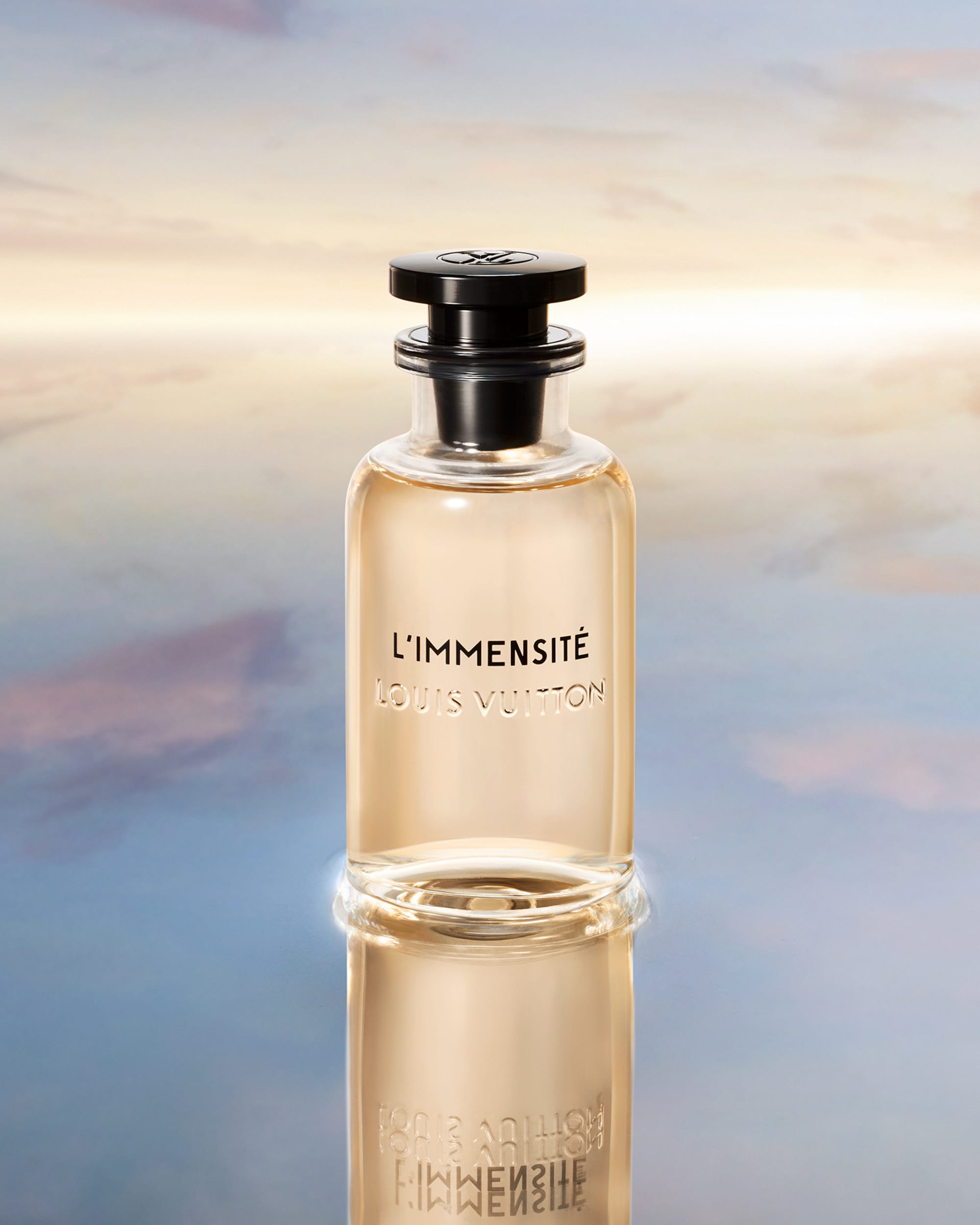 L'Immensité
